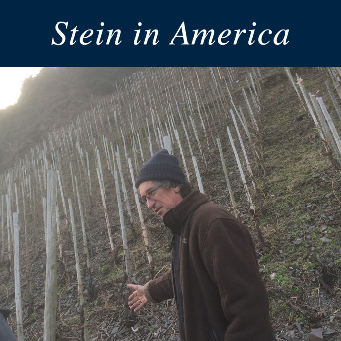 Stein heart Amerika